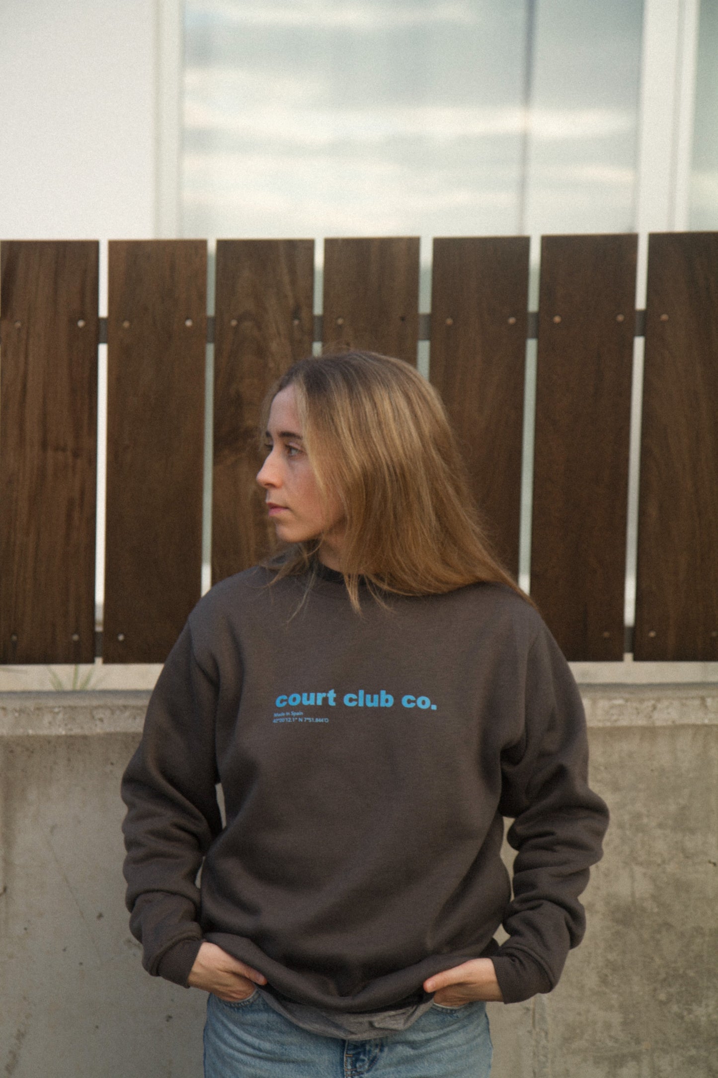 Sudadera gris sin capucha